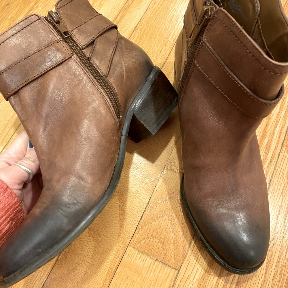 Arturo Chiang ankle booties
